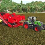 Grimme Evo 290