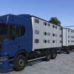 Scania R do przewozu zwierząt