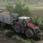 Shadery by Synergiusz